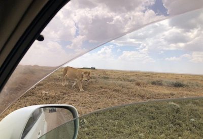 Kilimanjaro Travel and Tours