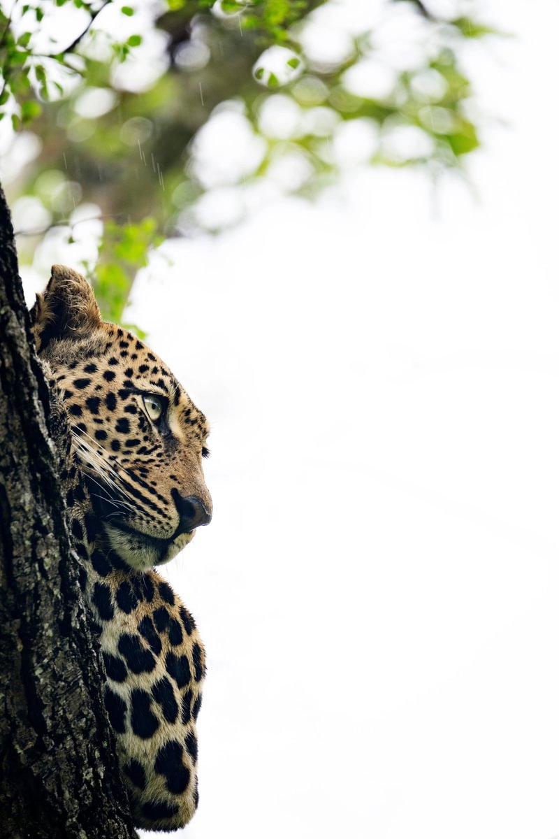 Love Africa Travel