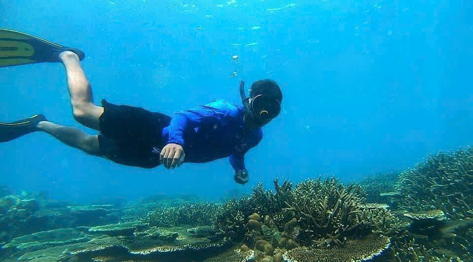 Snorkeling Turtle Release Tour