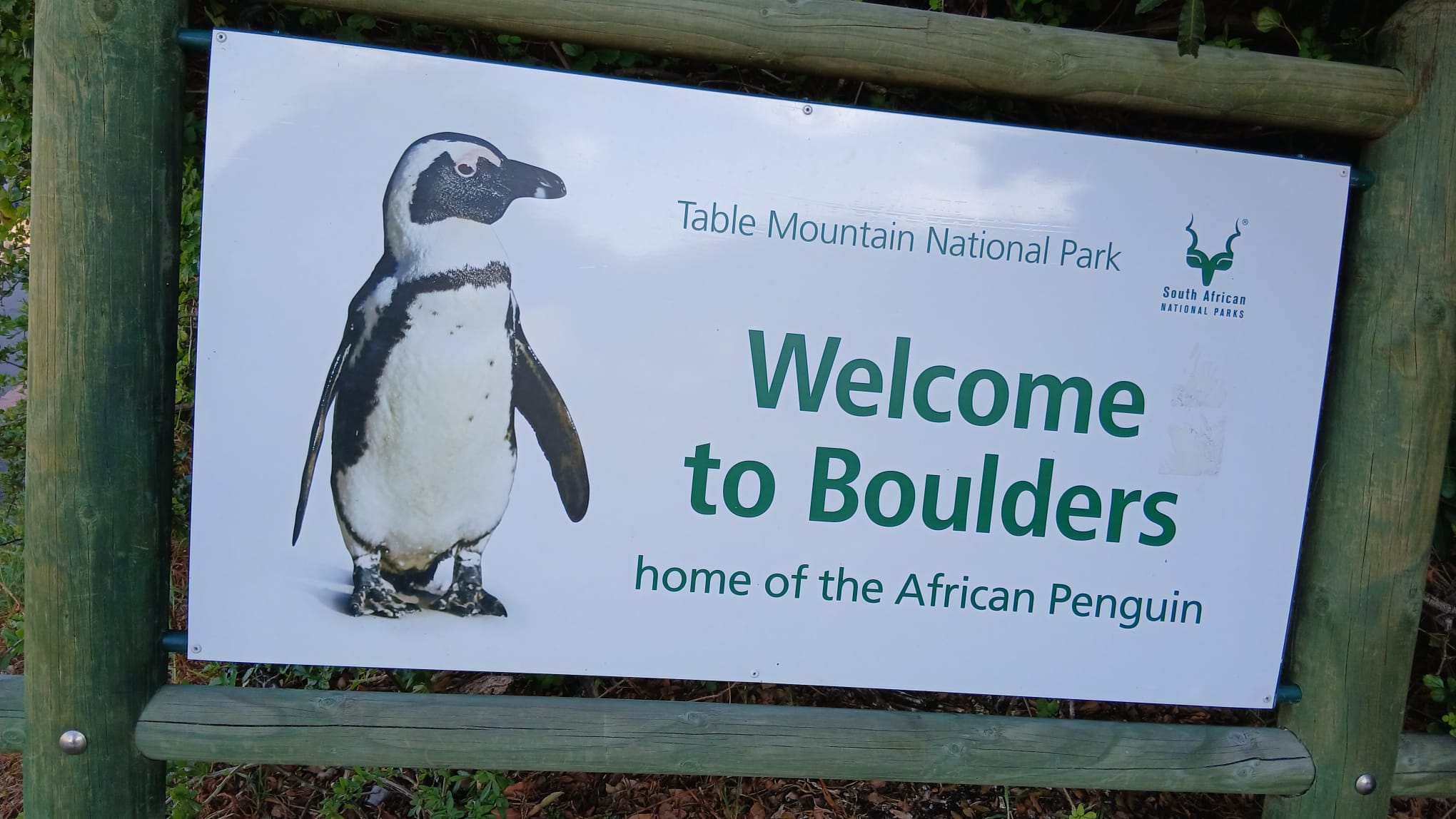 Mama Afrika Tours and Safaris