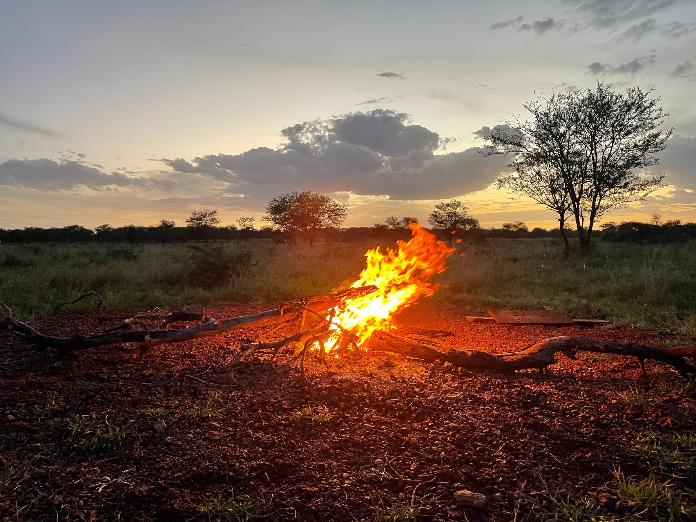Kilisa Tours & Safaris
