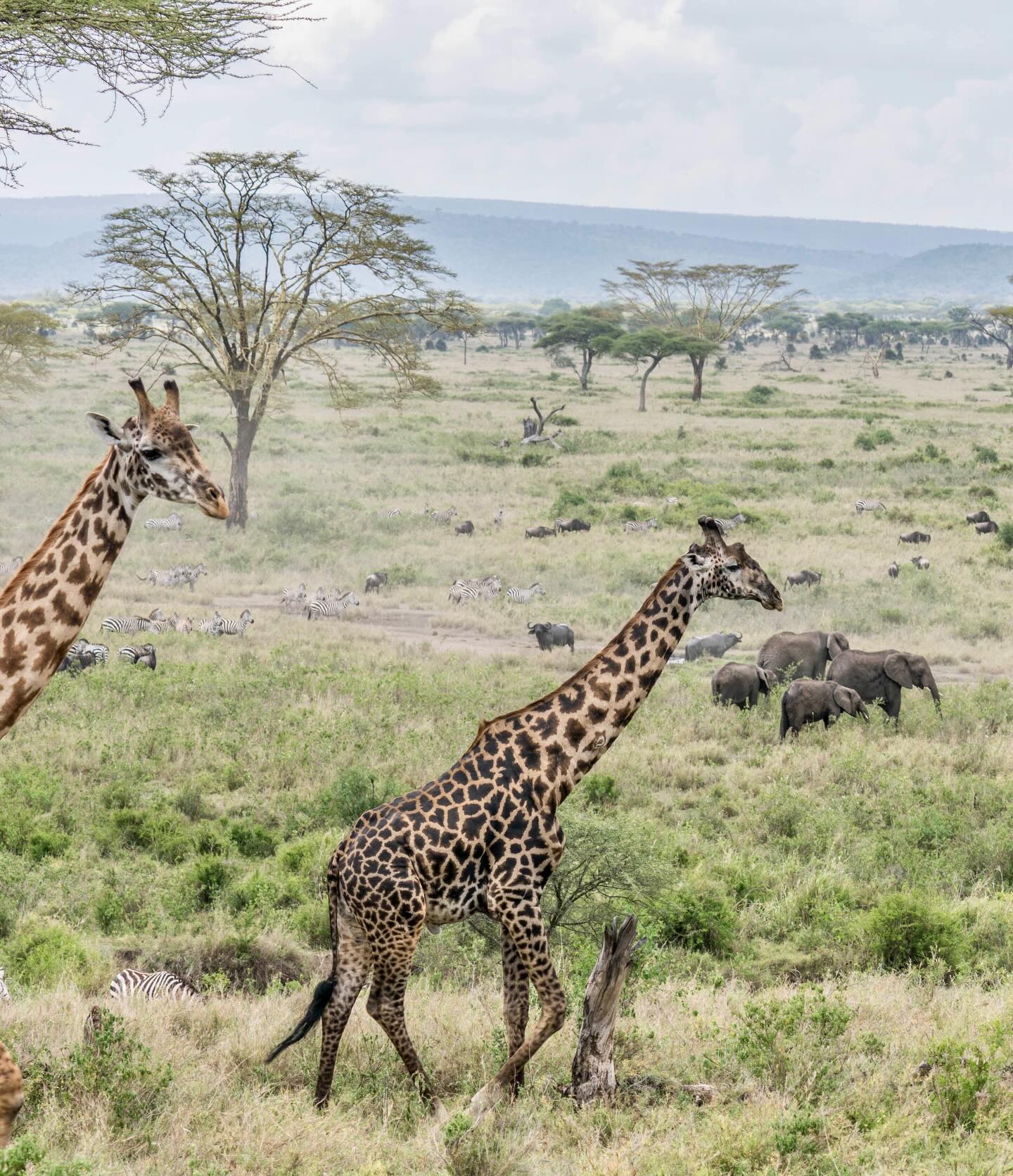 TANZANIA TOURS AND TRAVEL