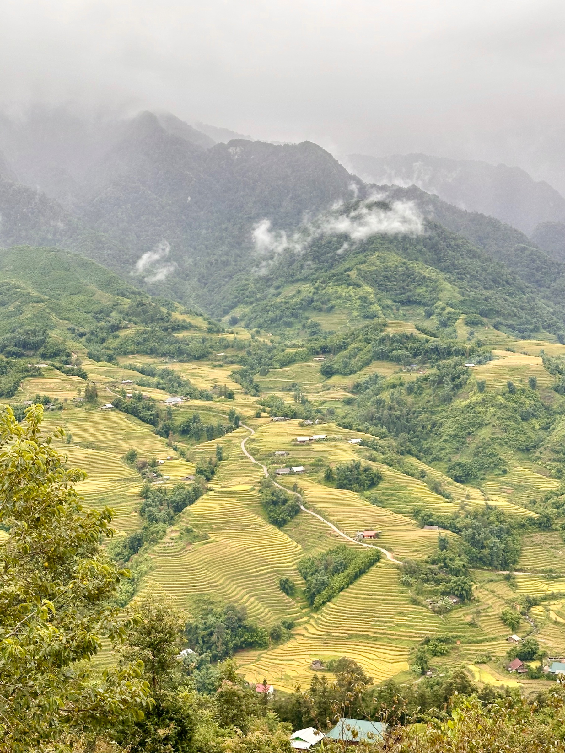 Hoang Car Service & Tourism