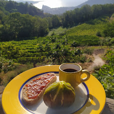 TENUTA DEL CANNAVALE ISCHIA