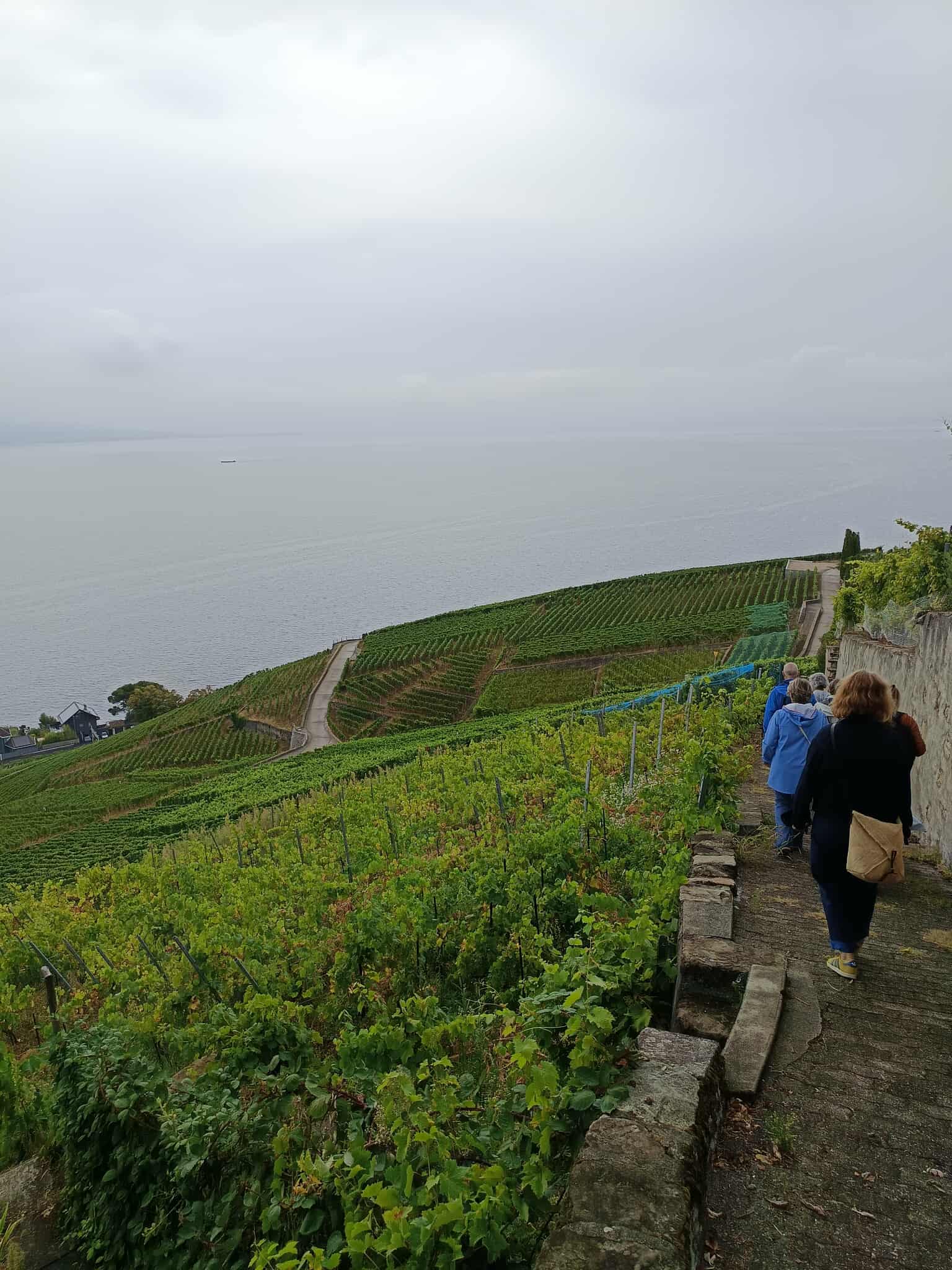 Helvetica itinerantur