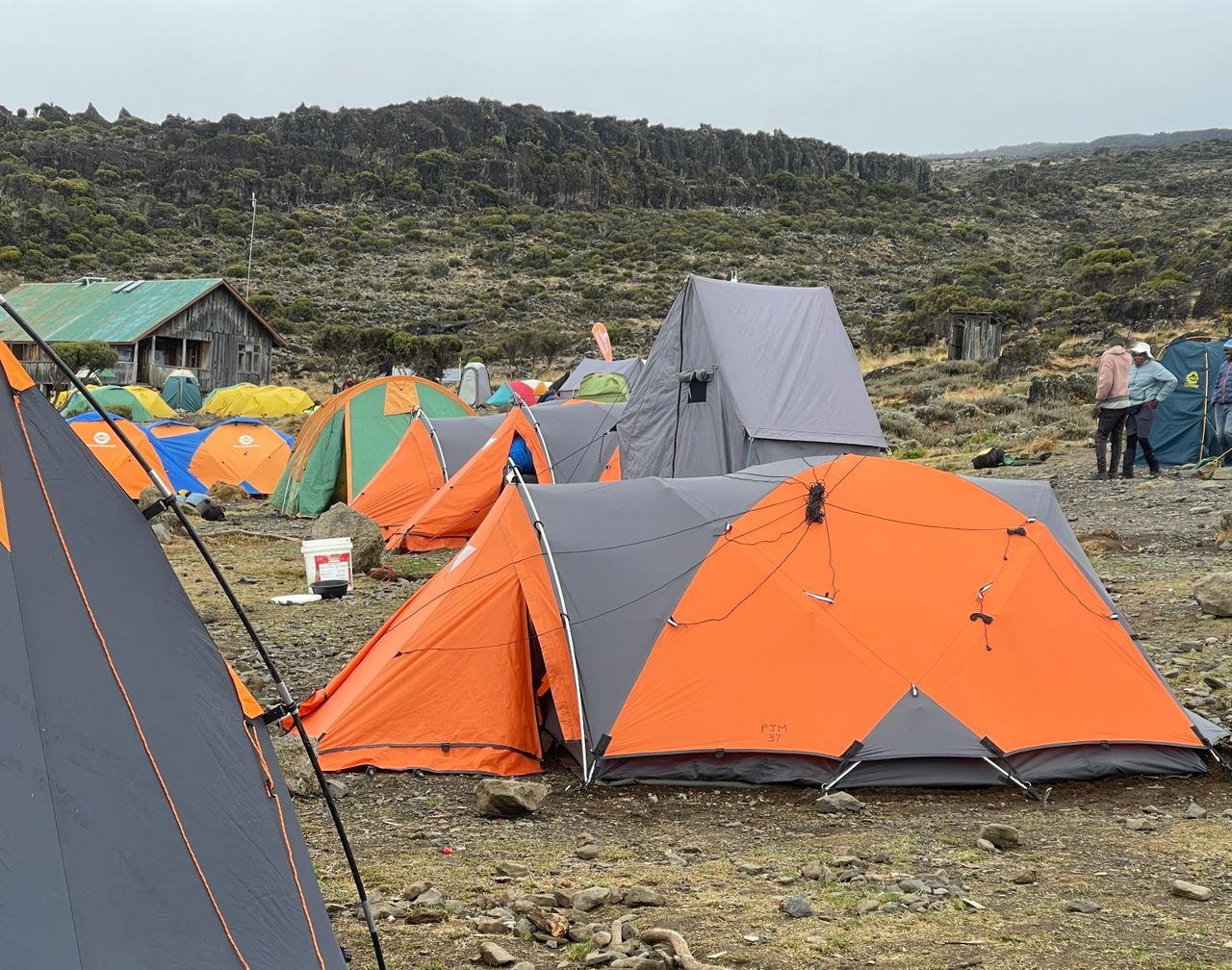 Kilimanjaro Safari Holidays Li