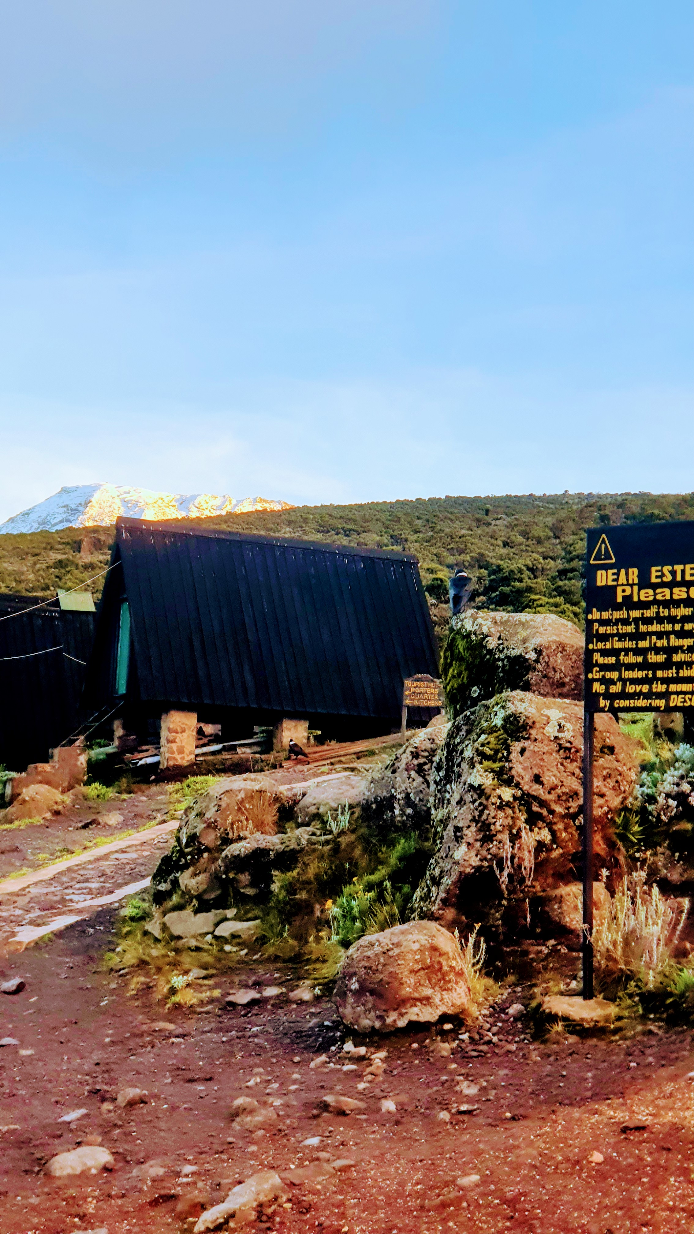 KiliMzwa Tours & Expeditions