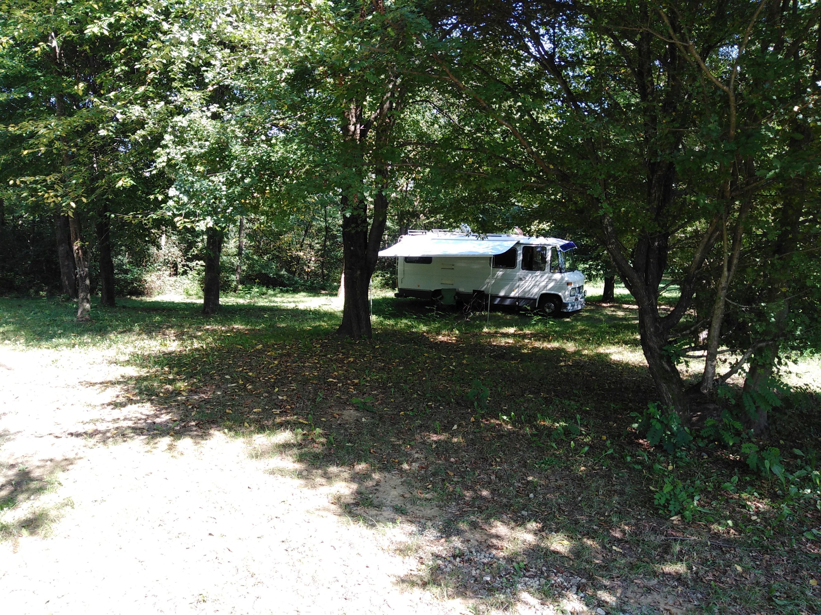 Eco camping Bogata Šuma ("Rich Forest")