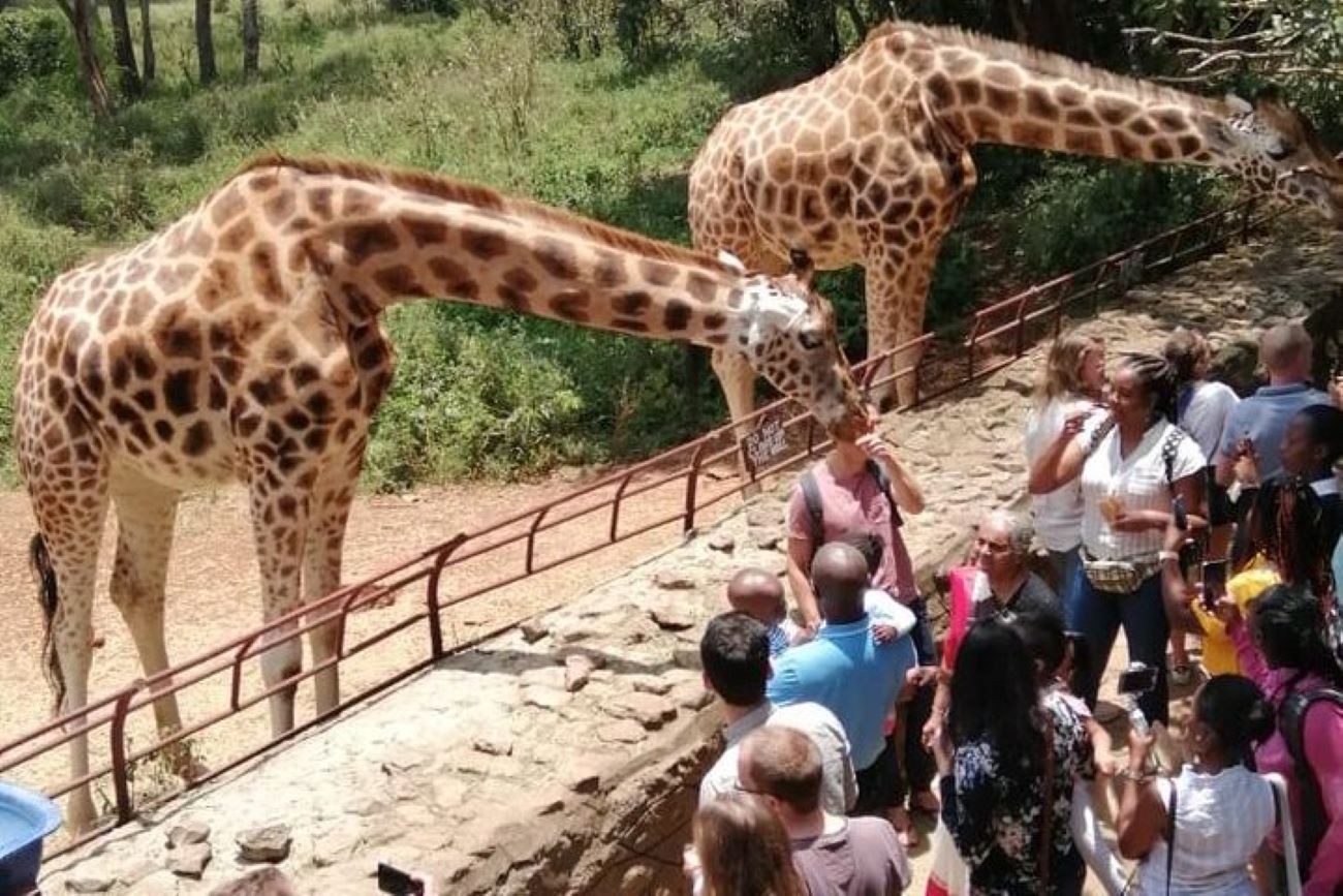 Fejuma Tours and Safaris