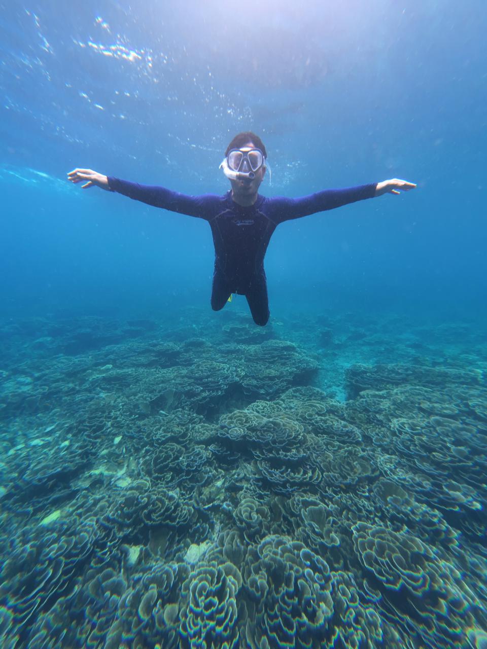 Bali Nemo Trip