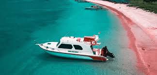 komodo bonturi flores