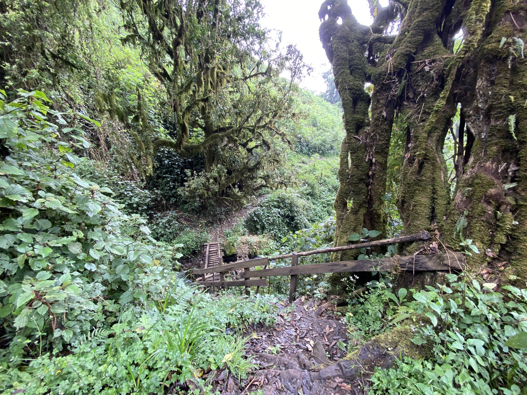 Mount Elgon Eco Tours