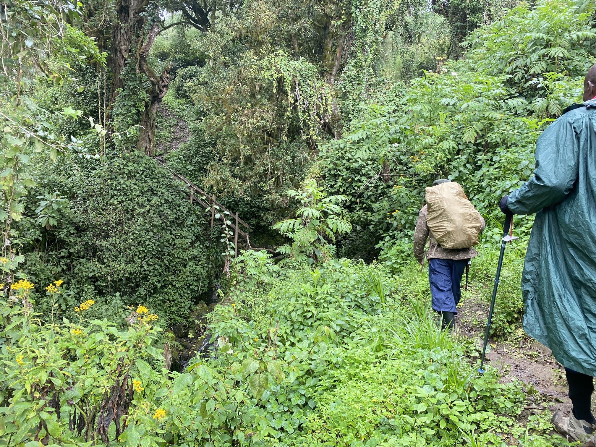 Mount Elgon Eco Tours