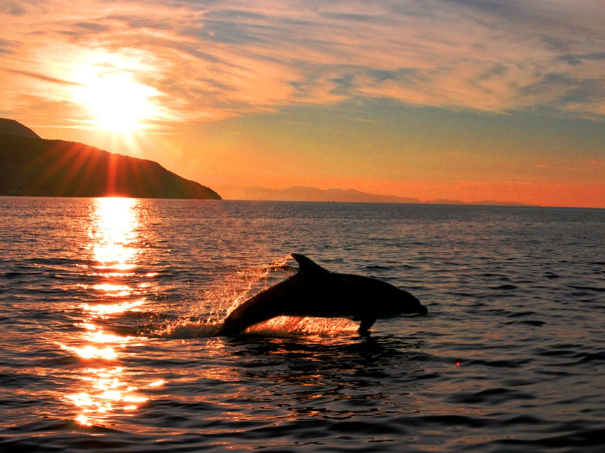 Controvento Charter Olbia