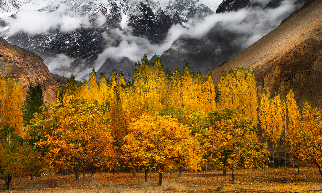 Click Pak Tourism Services