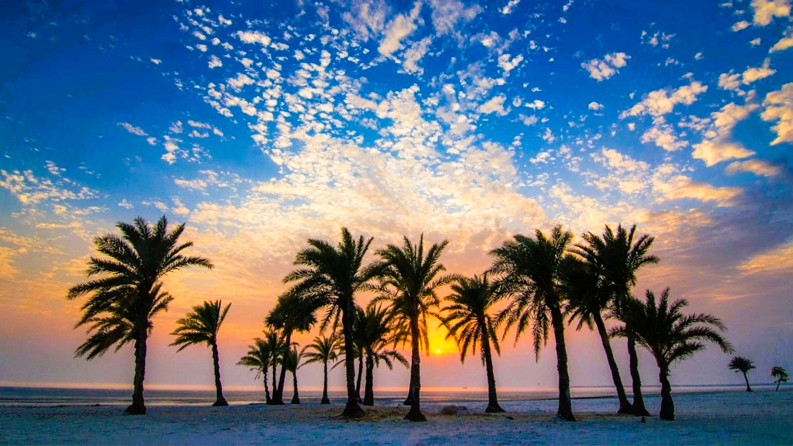 ALIF GLOBAL TOURS & TRAVELS