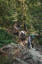 Sumatra Joint Trekking