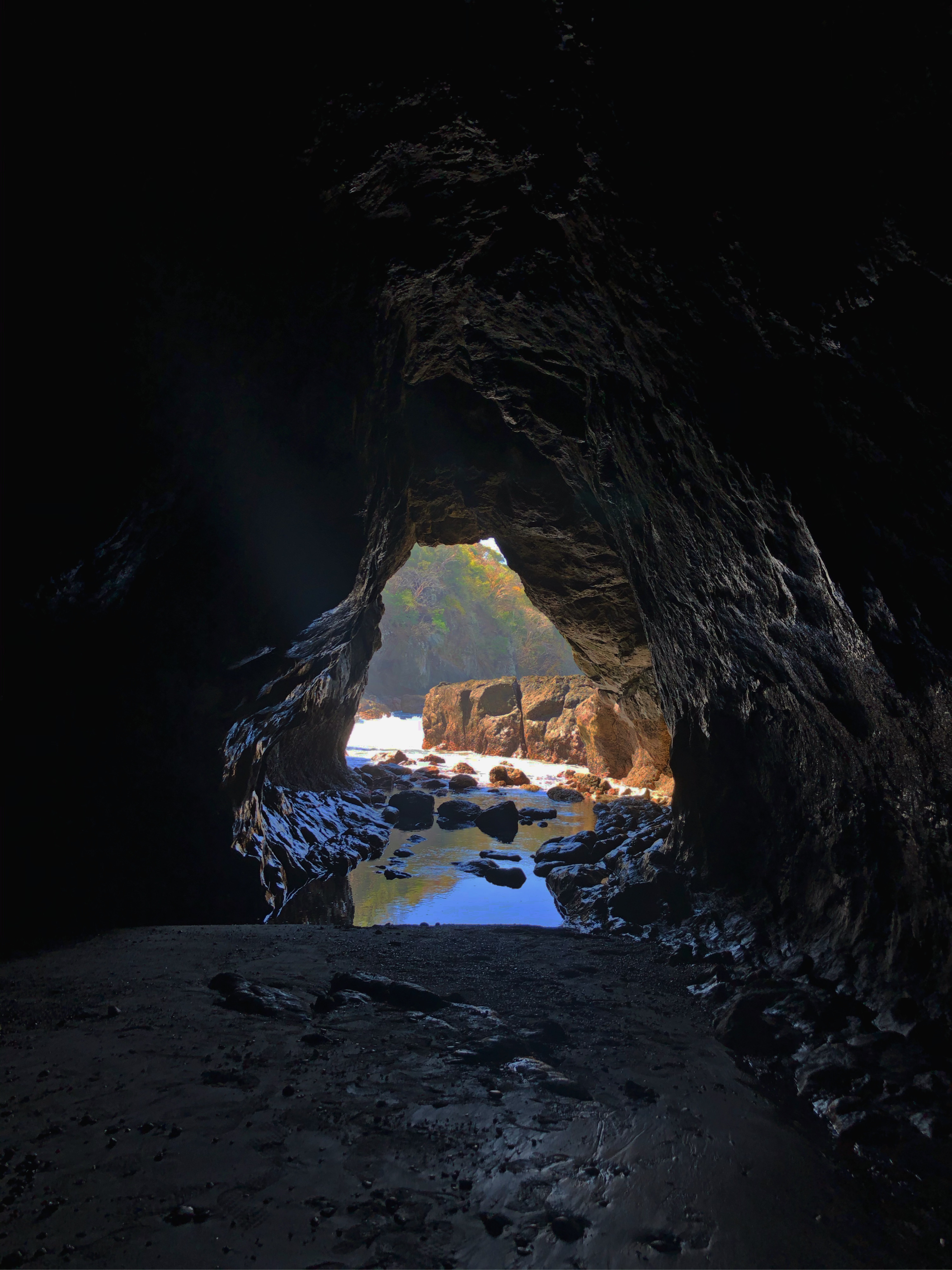 SeaHorse Ocean Tours