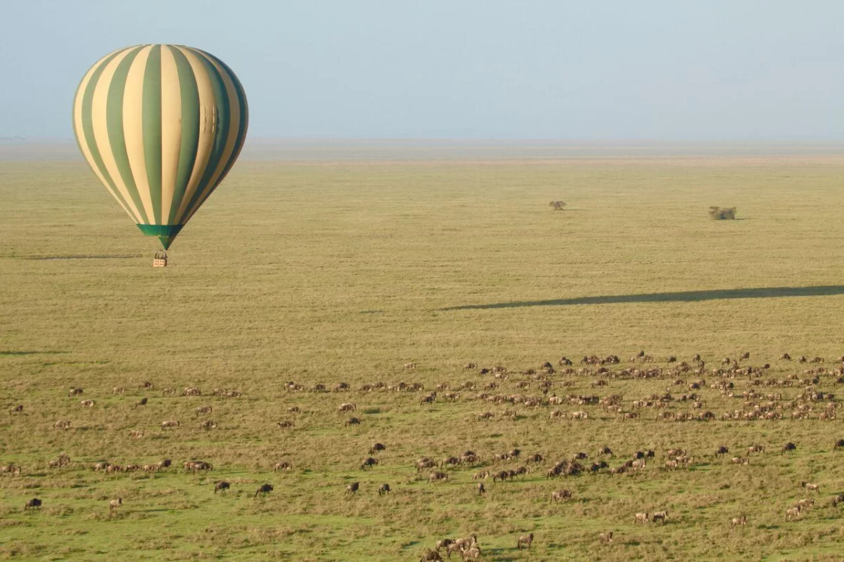 Lifestyle Safaris & Holidays