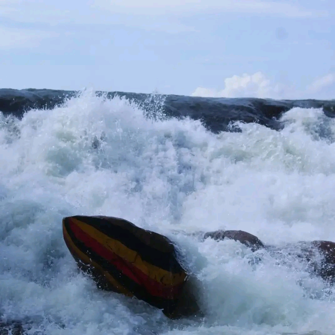 Franklyn Community Tours