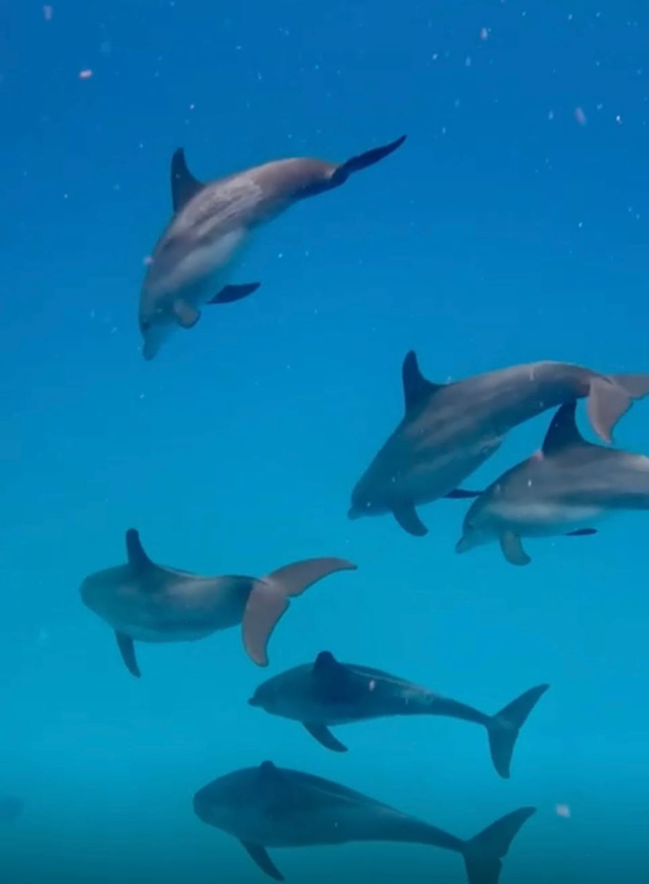 Al-tayyib Tours and Safaris