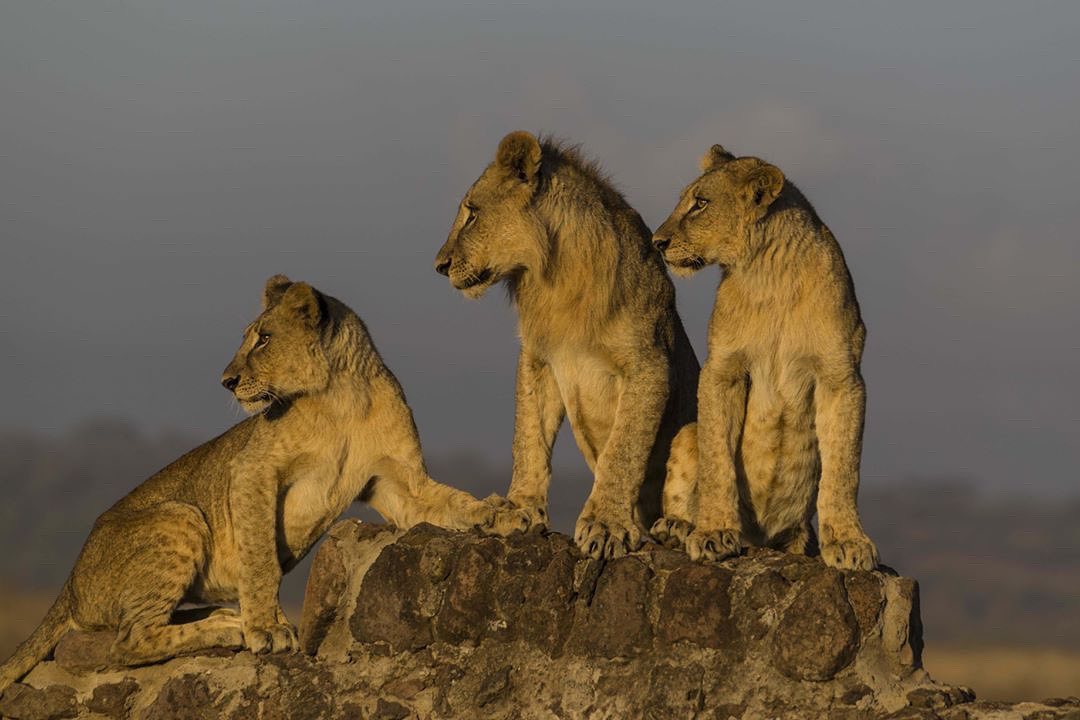 Hope Outreach Tours & Safaris