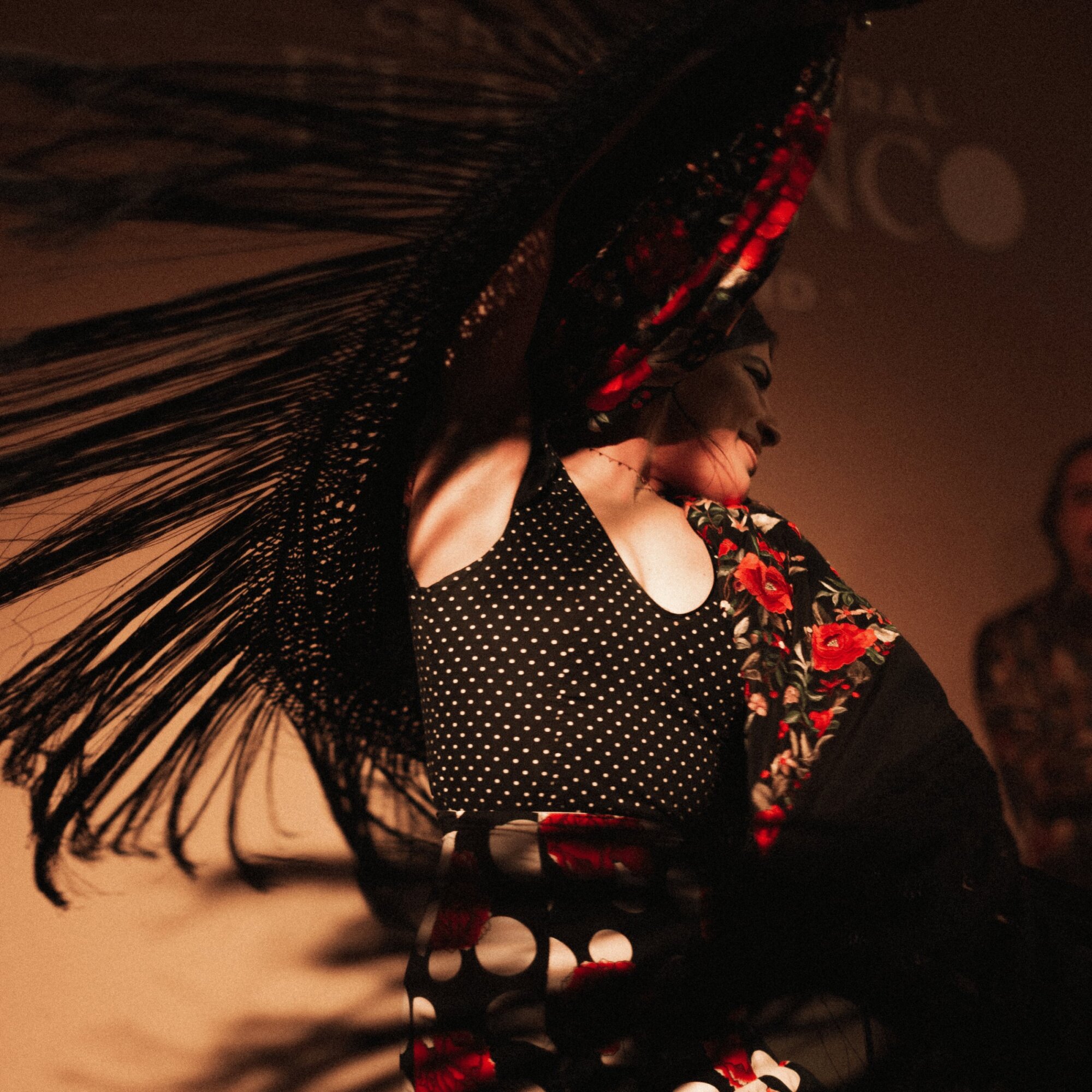 CENTROCULTURAL FLAMENCO MADRID