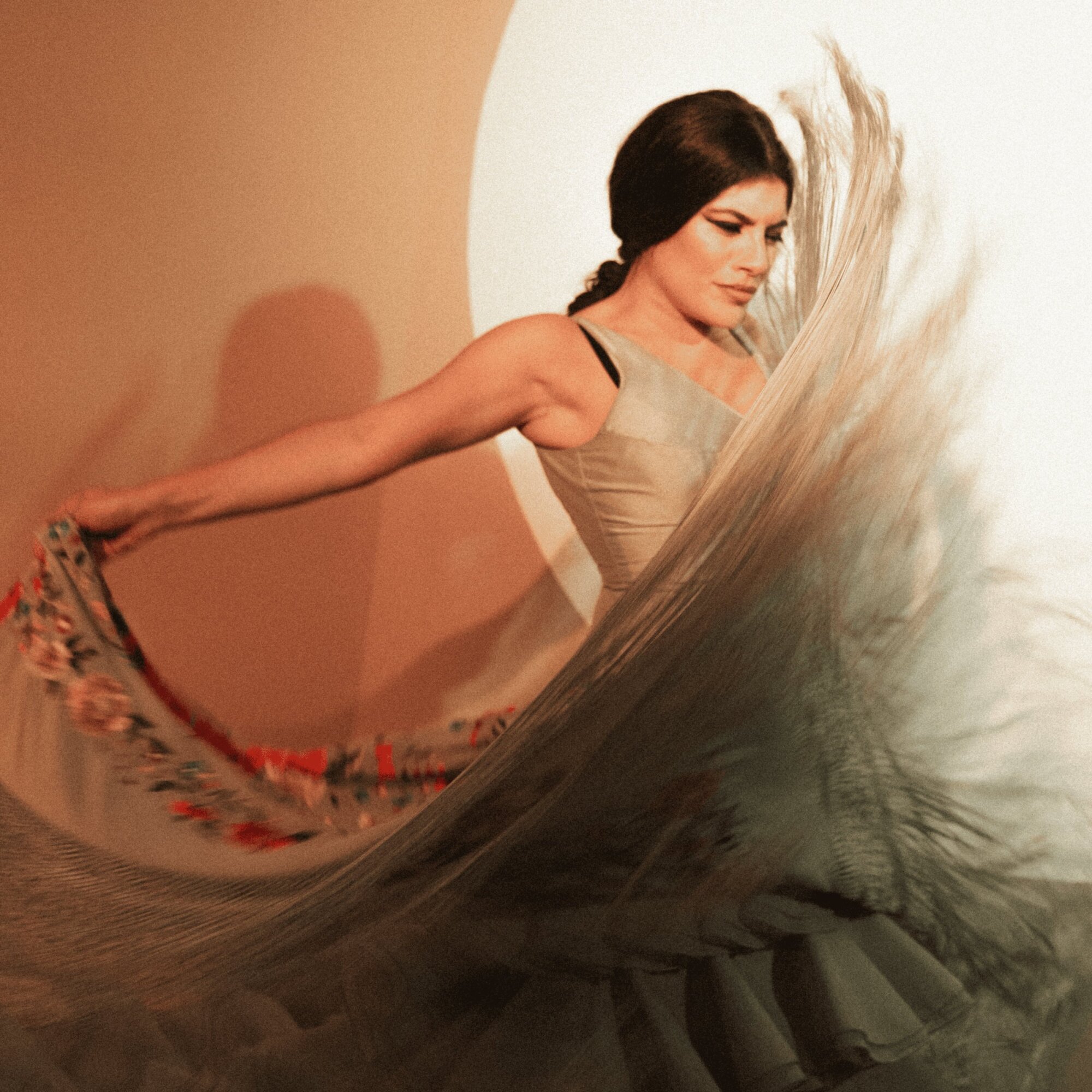 CENTROCULTURAL FLAMENCO MADRID