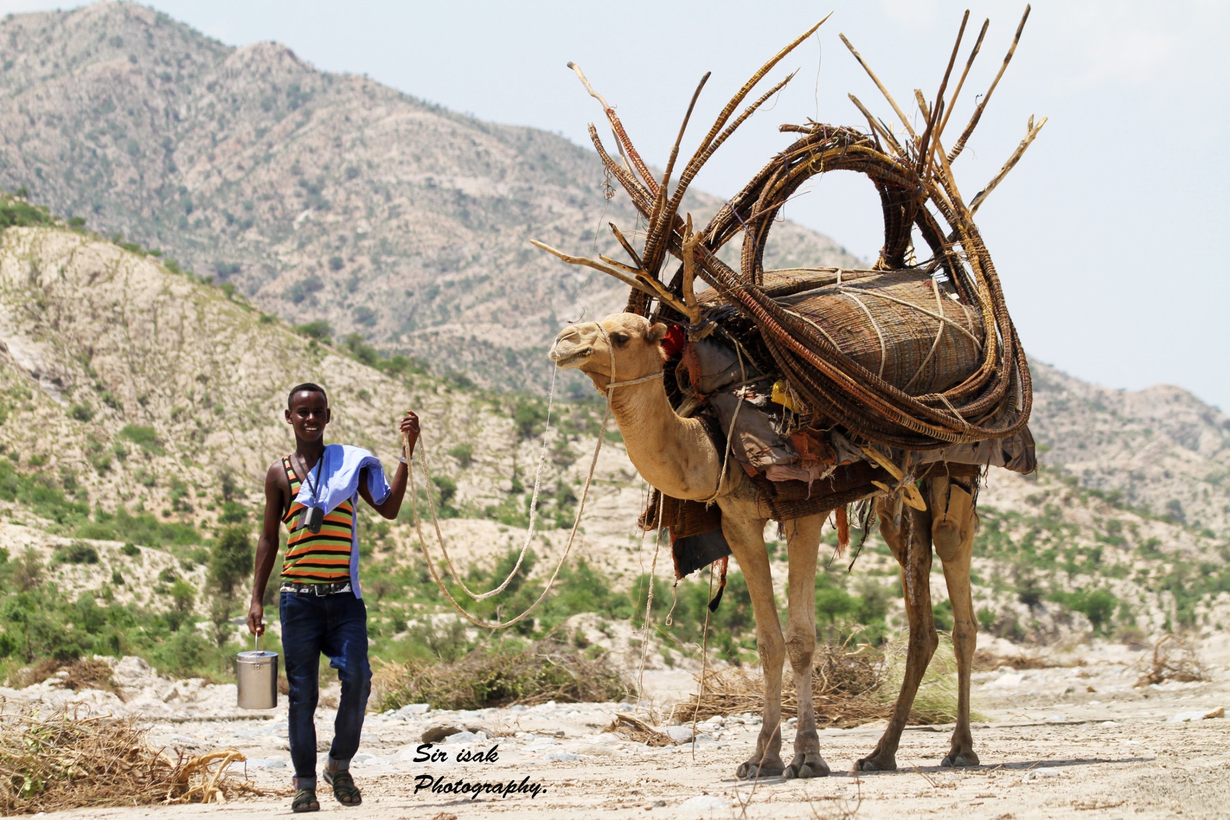 Horn explore Gateways