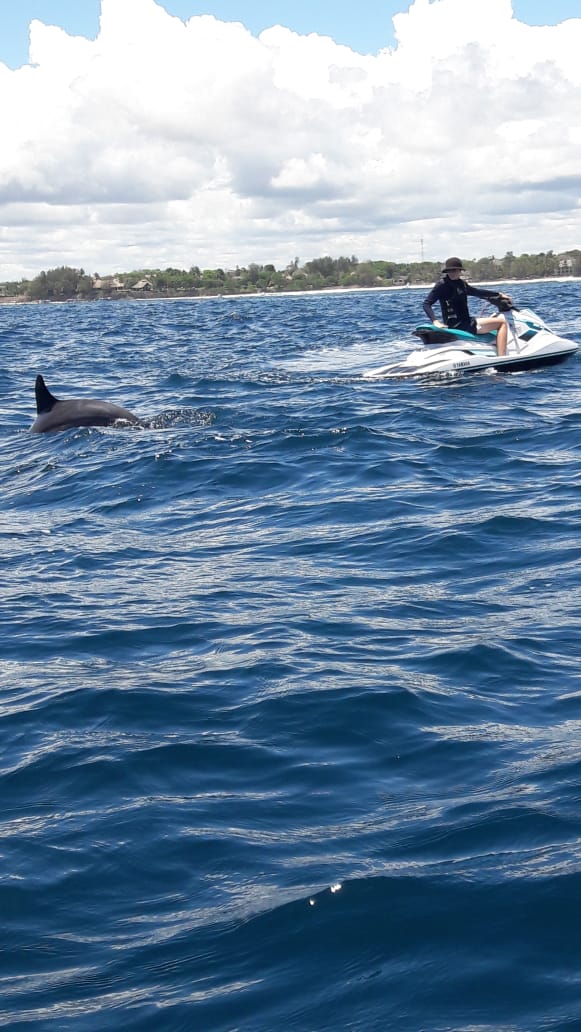 Freetyme Water Sports