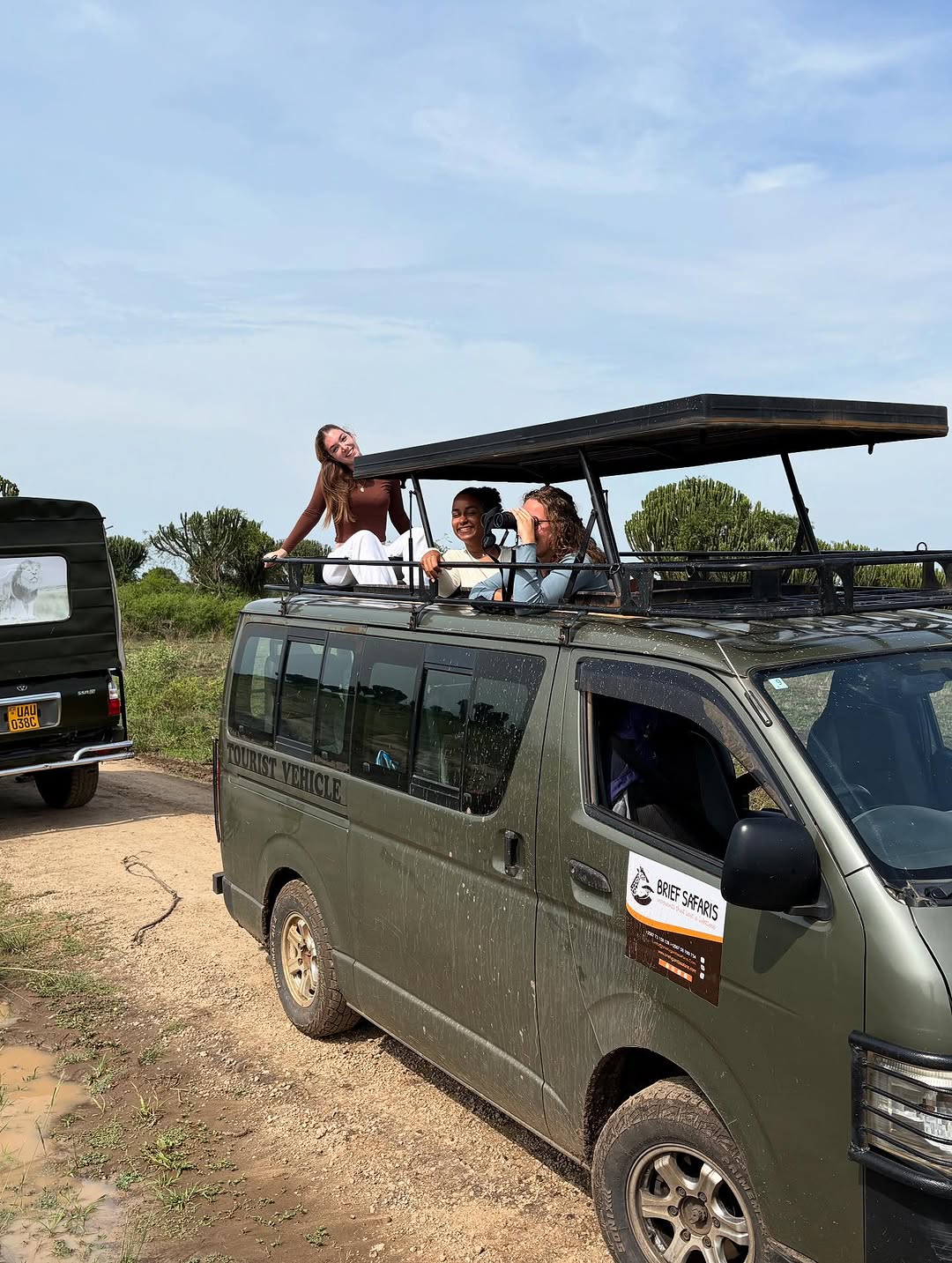 Brief Safaris