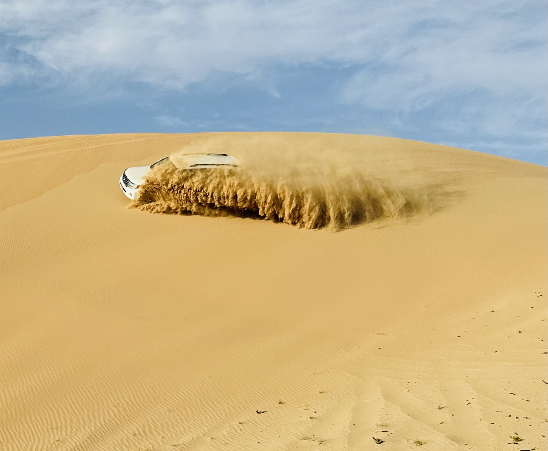 Visitors Destination Tours