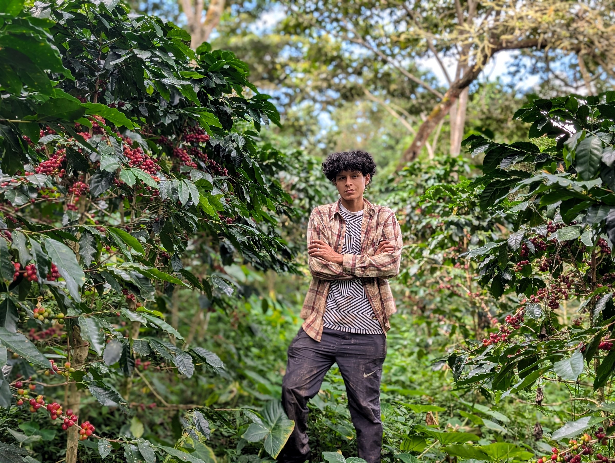 AROVI / CURLY by AROVI