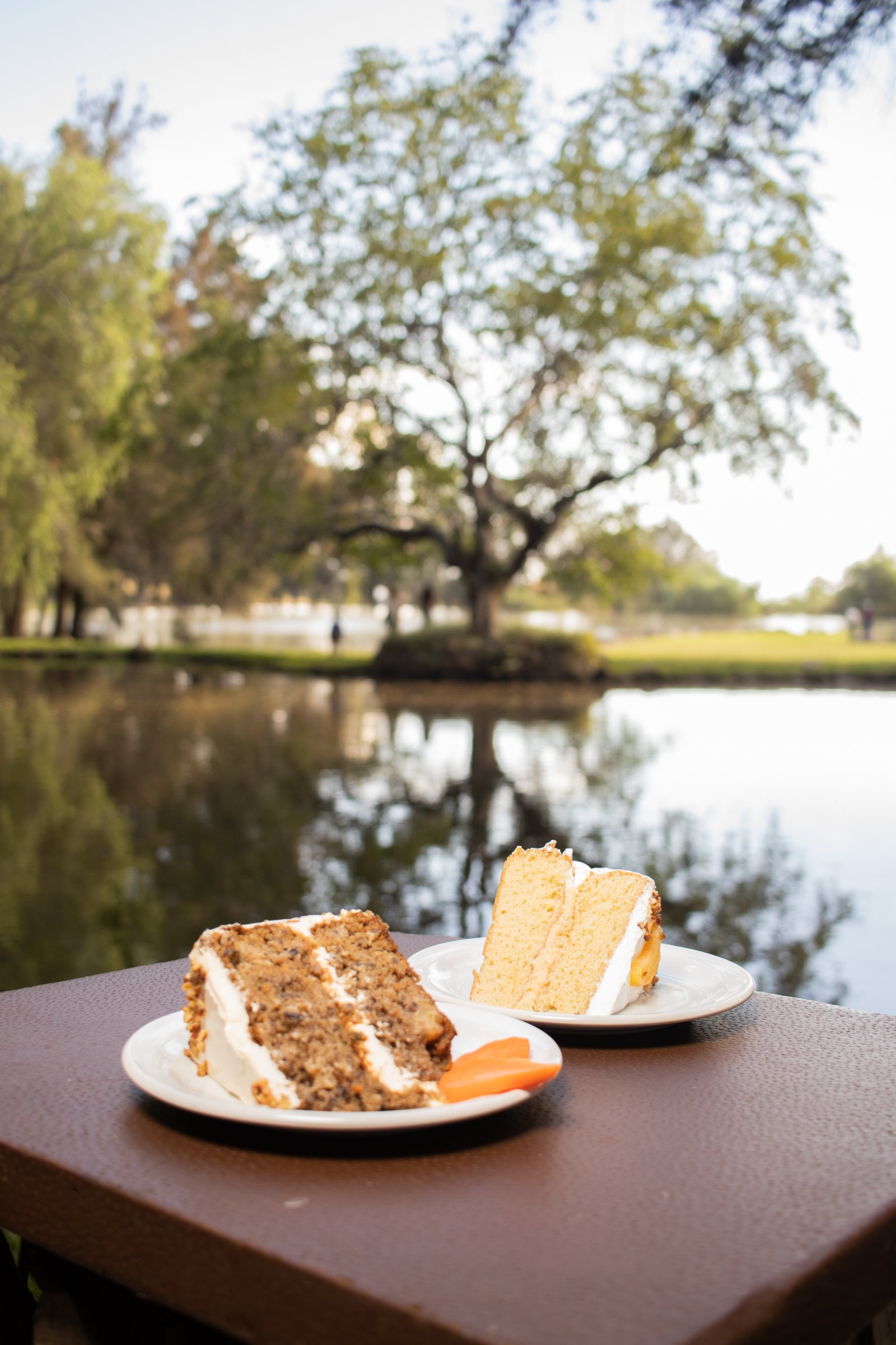 El Pinar del Chayán