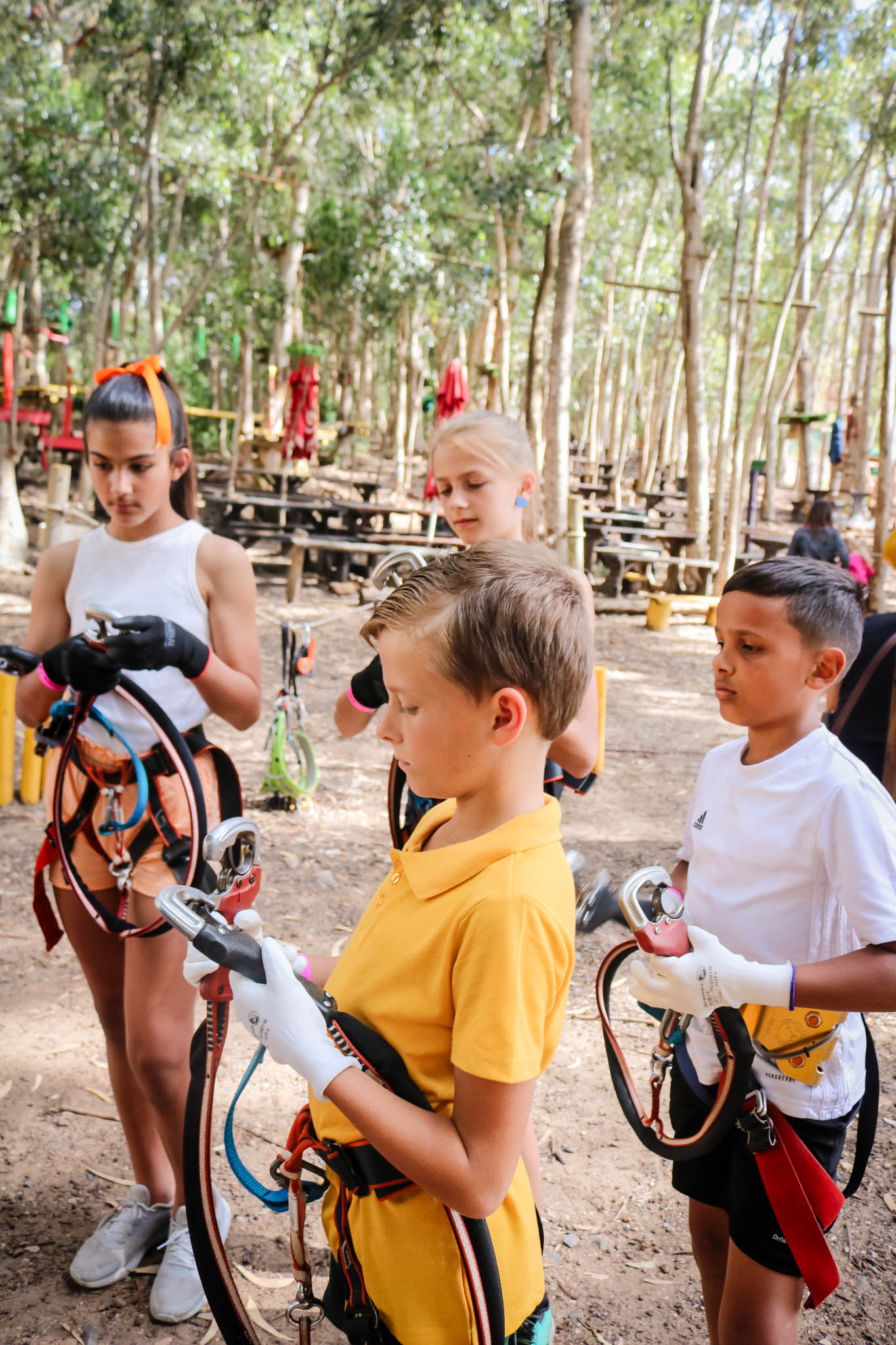 Acrobranch Stellenbosch