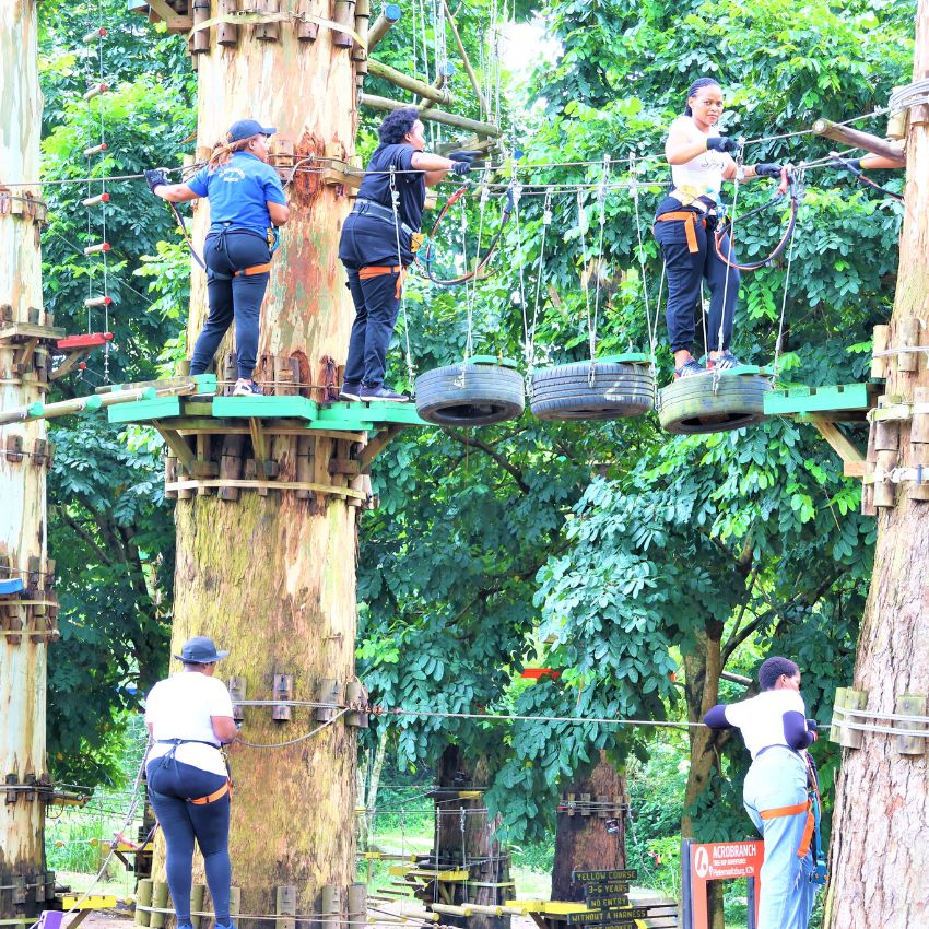 Acrobranch Pietermaritzburg