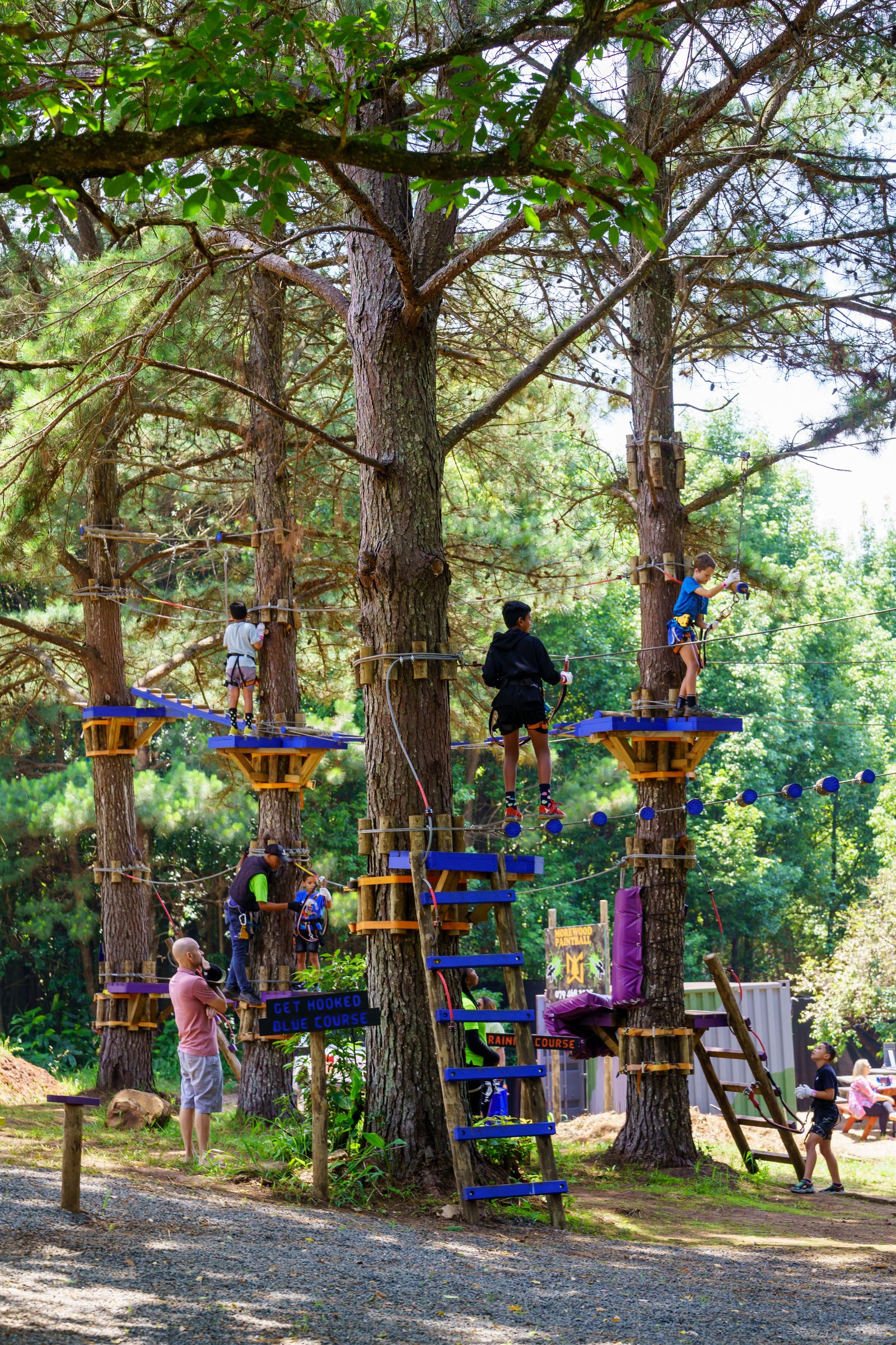 Acrobranch Hillcrest