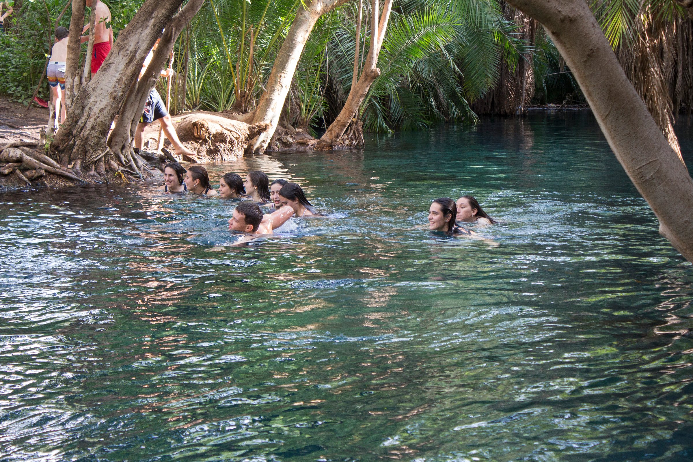 Golden Bamboo Tours