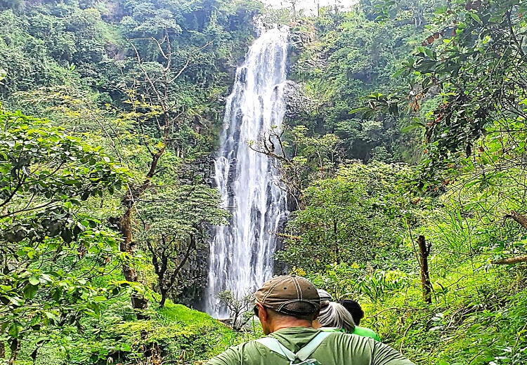 Golden Bamboo Tours