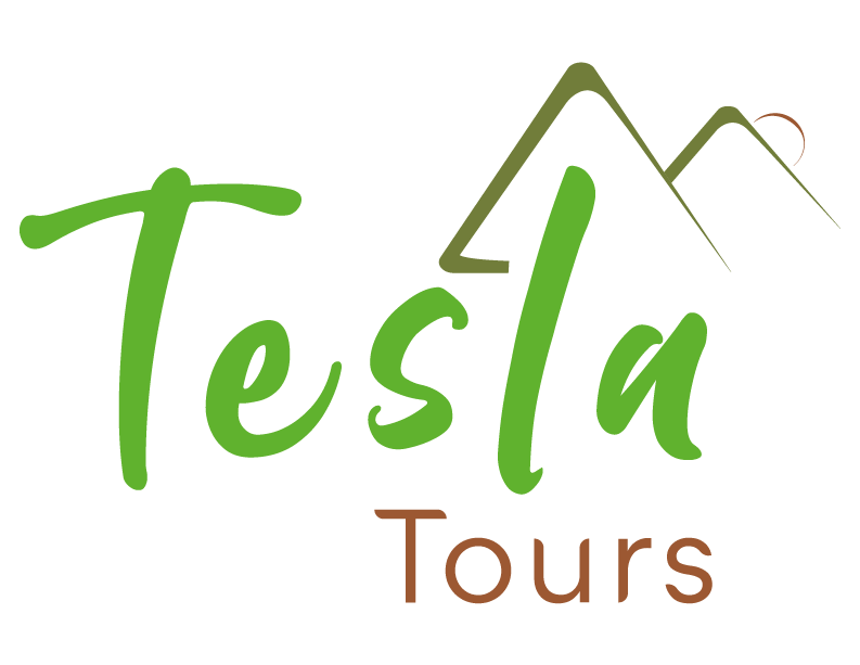 TESLA TOURS