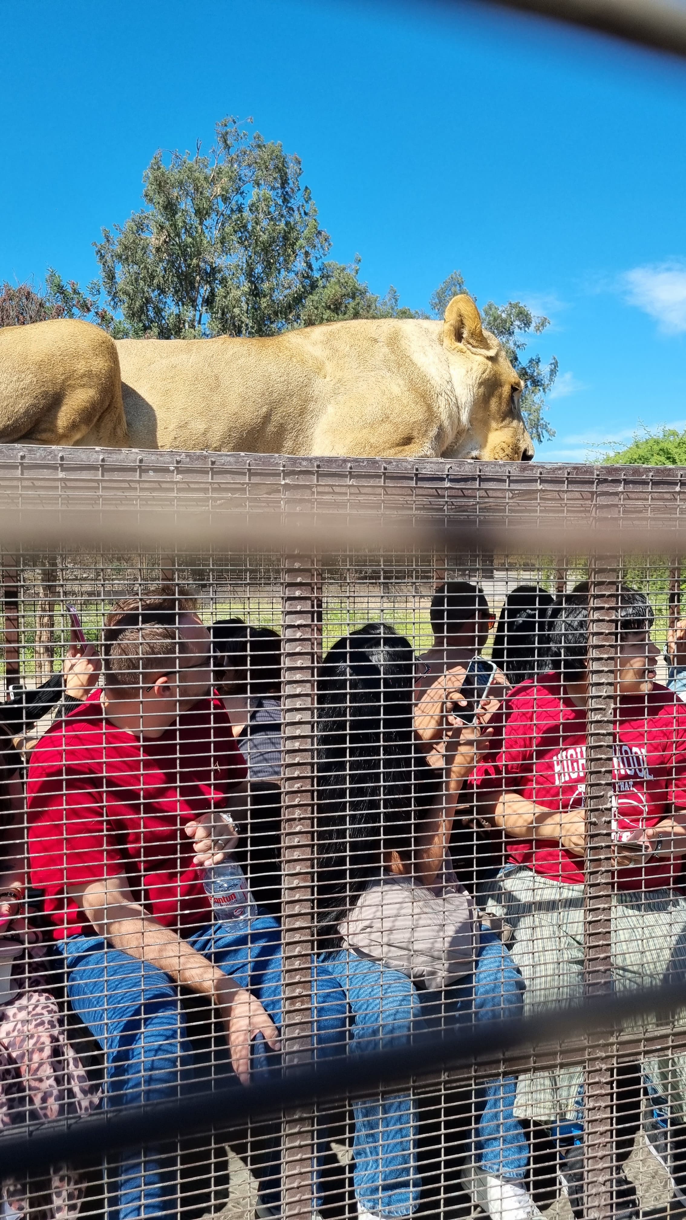 AGENCIA CURTINDO O CHILE