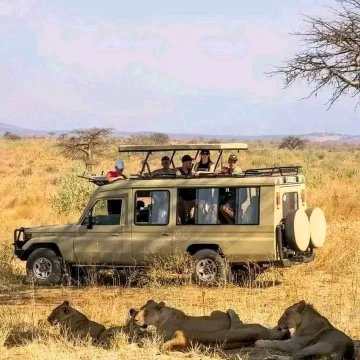Umuco Safari Rwanda