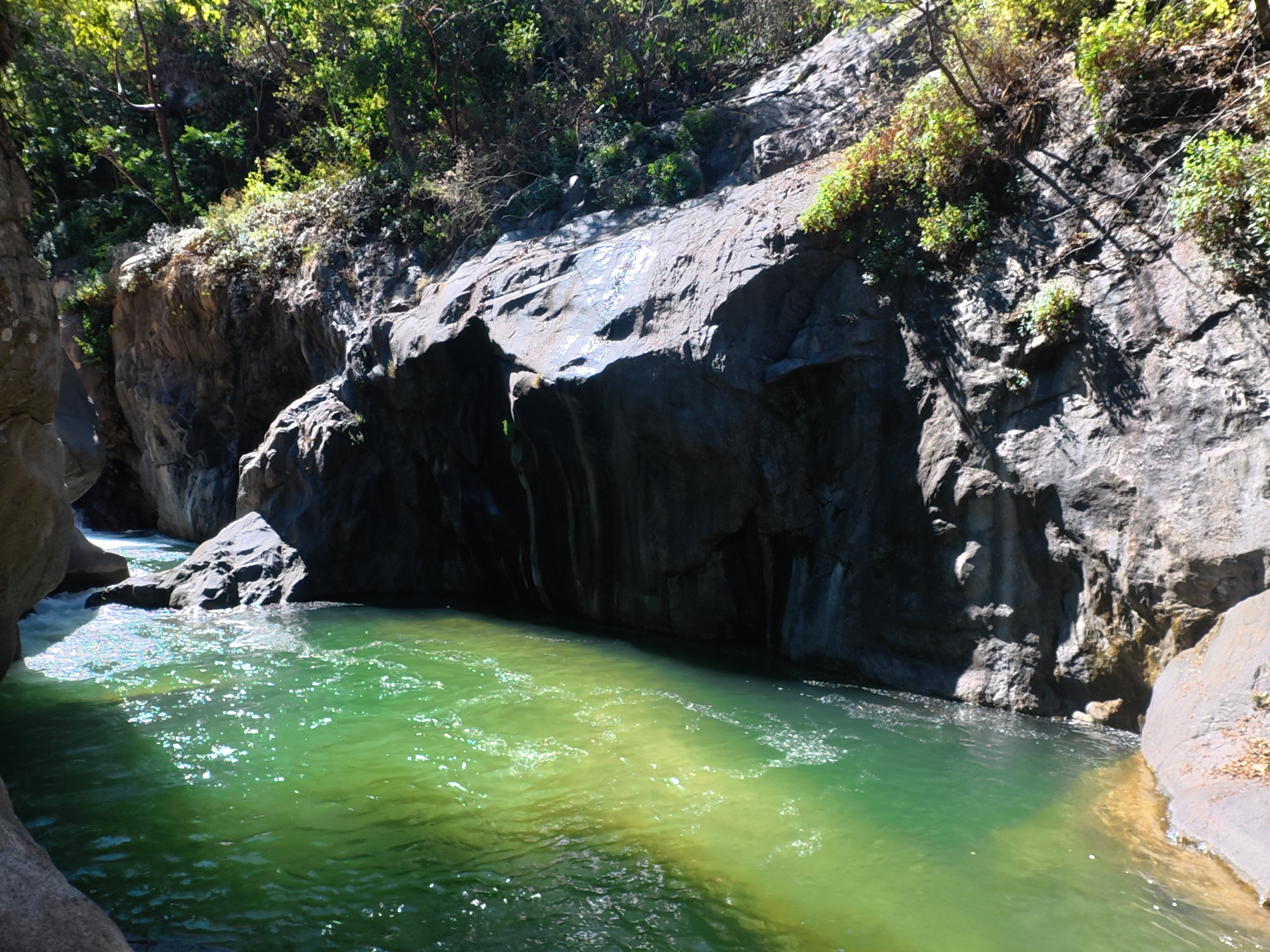 PuertoVallartaExperience