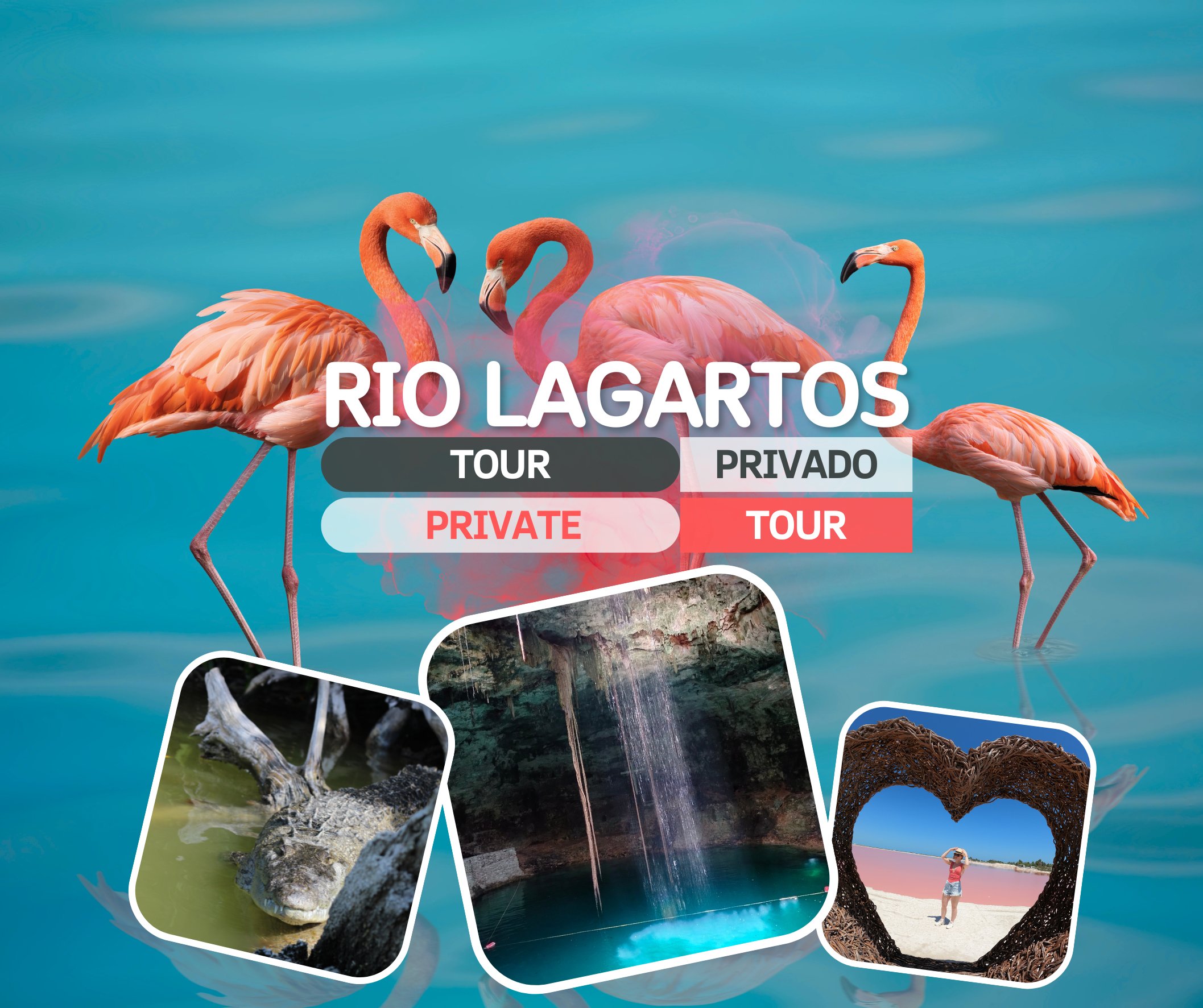 XENTOUR MX