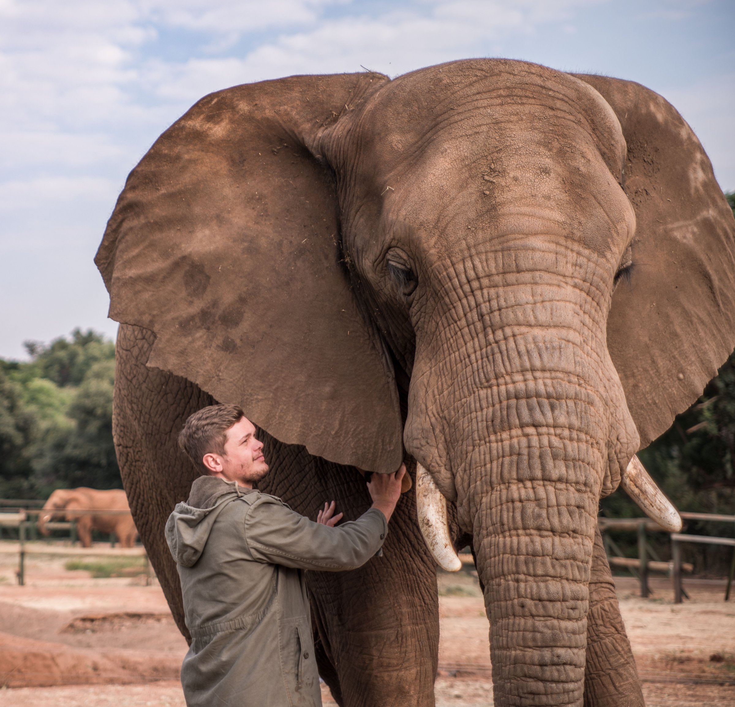 The Elephant Sanctuary