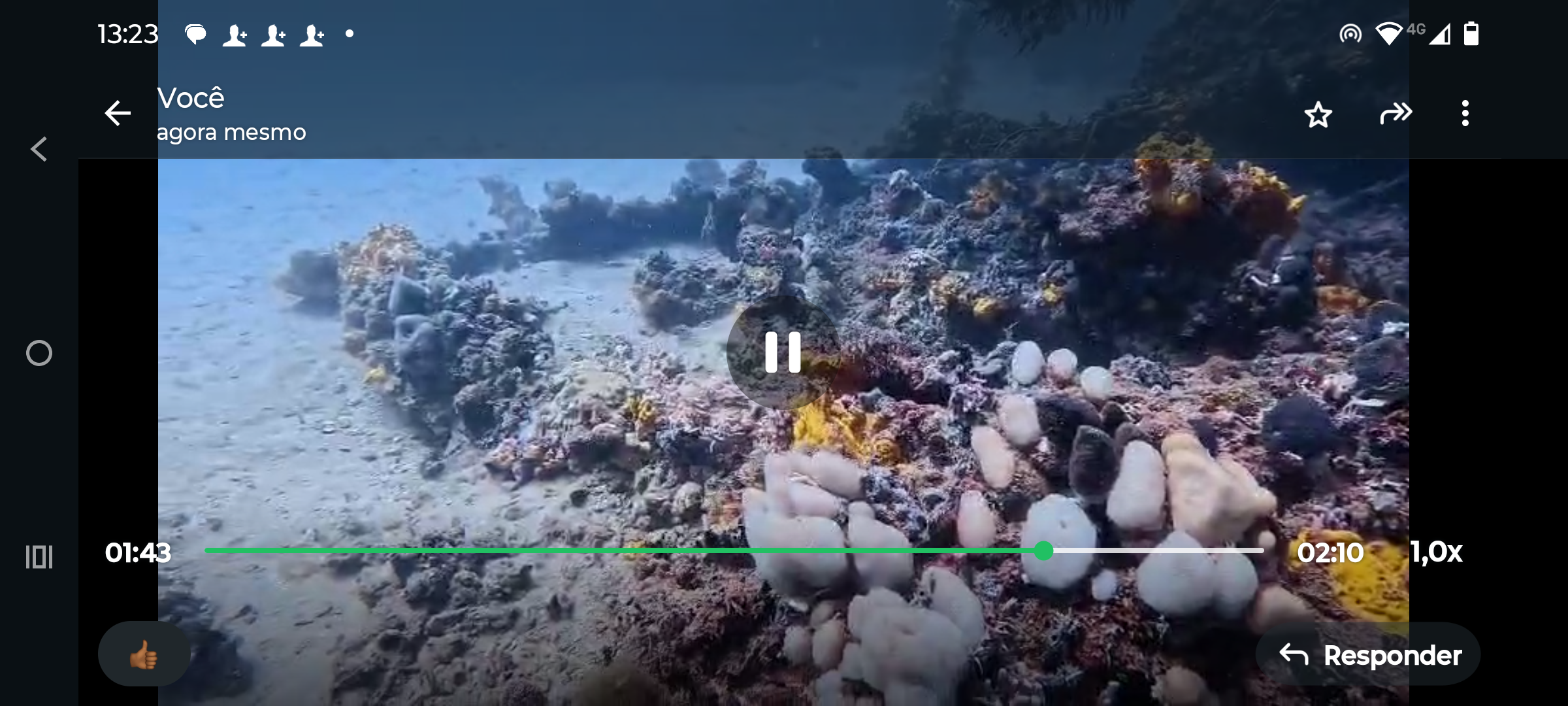 Sun Dive Escola de Mergulhos