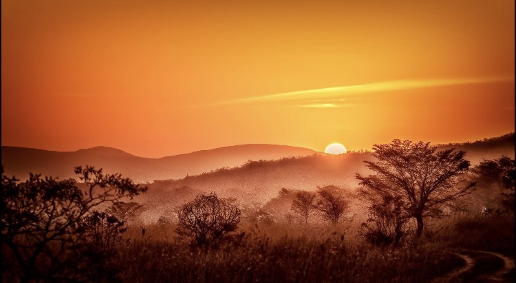 Africa Austral tours & safaris