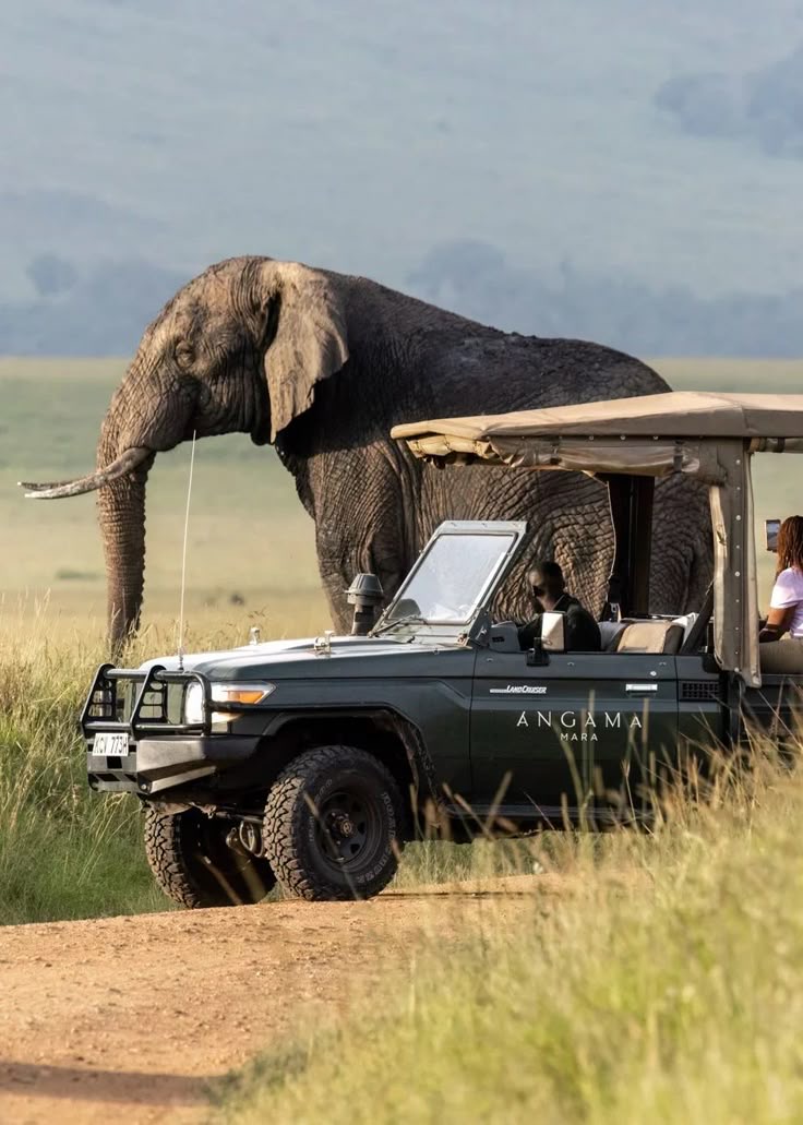 Moshi Events & Tours