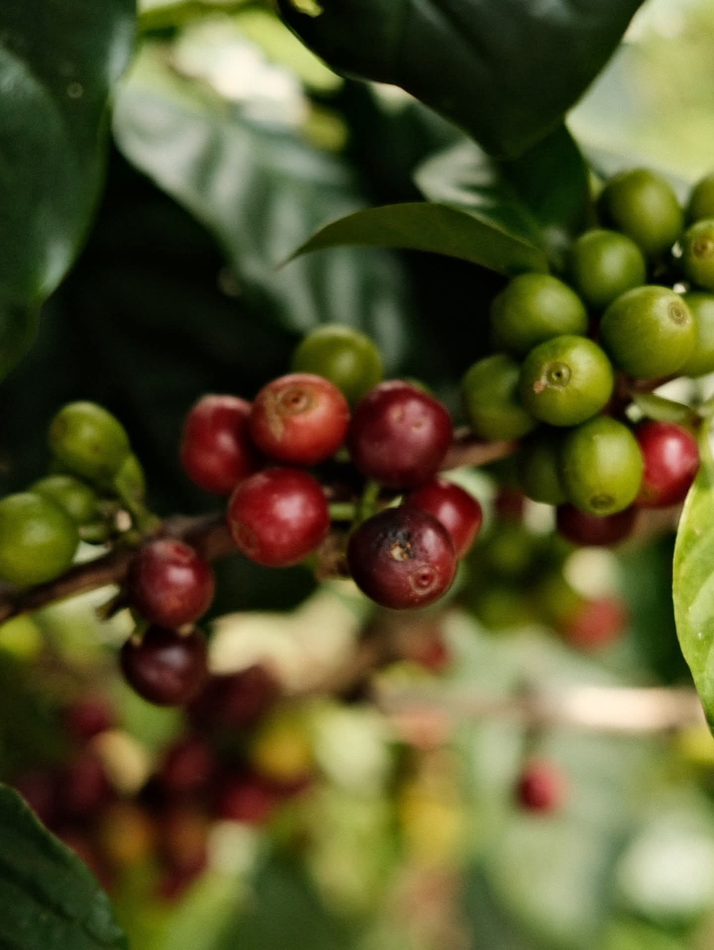 Lombok tourism transport