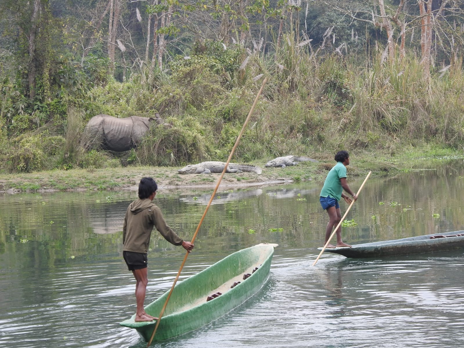 Jungle Expert Treks and Tours